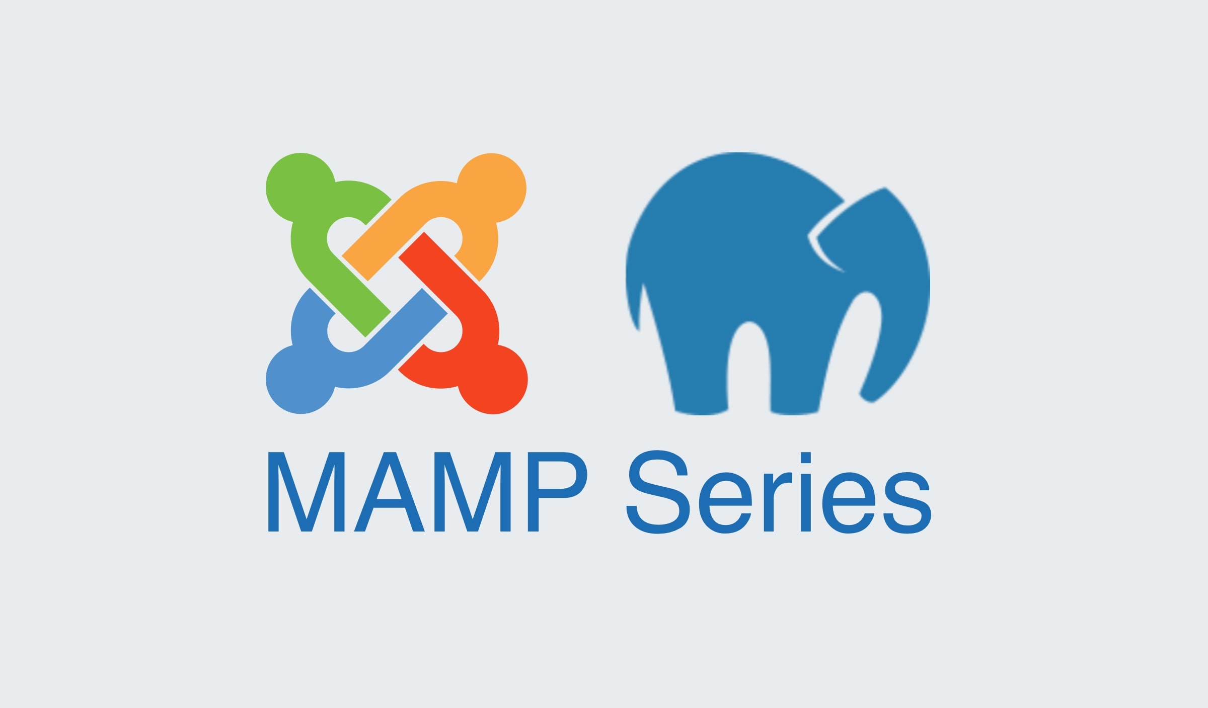 MAMP series